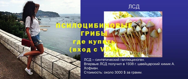 ГАЛЛЮЦИНОГЕННЫЕ ГРИБЫ Беломорск